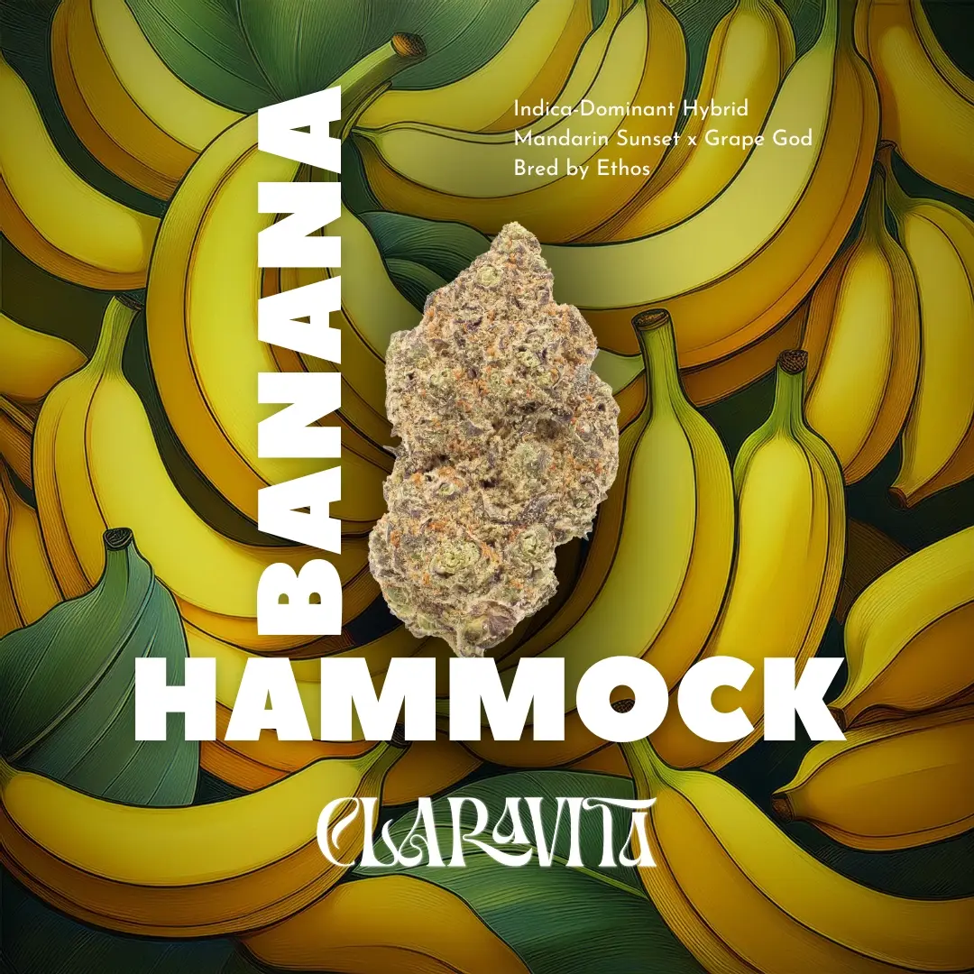 Banana Hammock cannabis flower close-up, showing dense frosty buds with sweet tropical aroma and indica-leaning genetics.