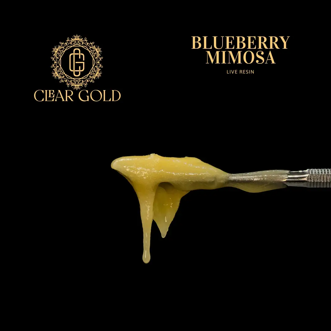 Blueberry Mimosa Live Resin