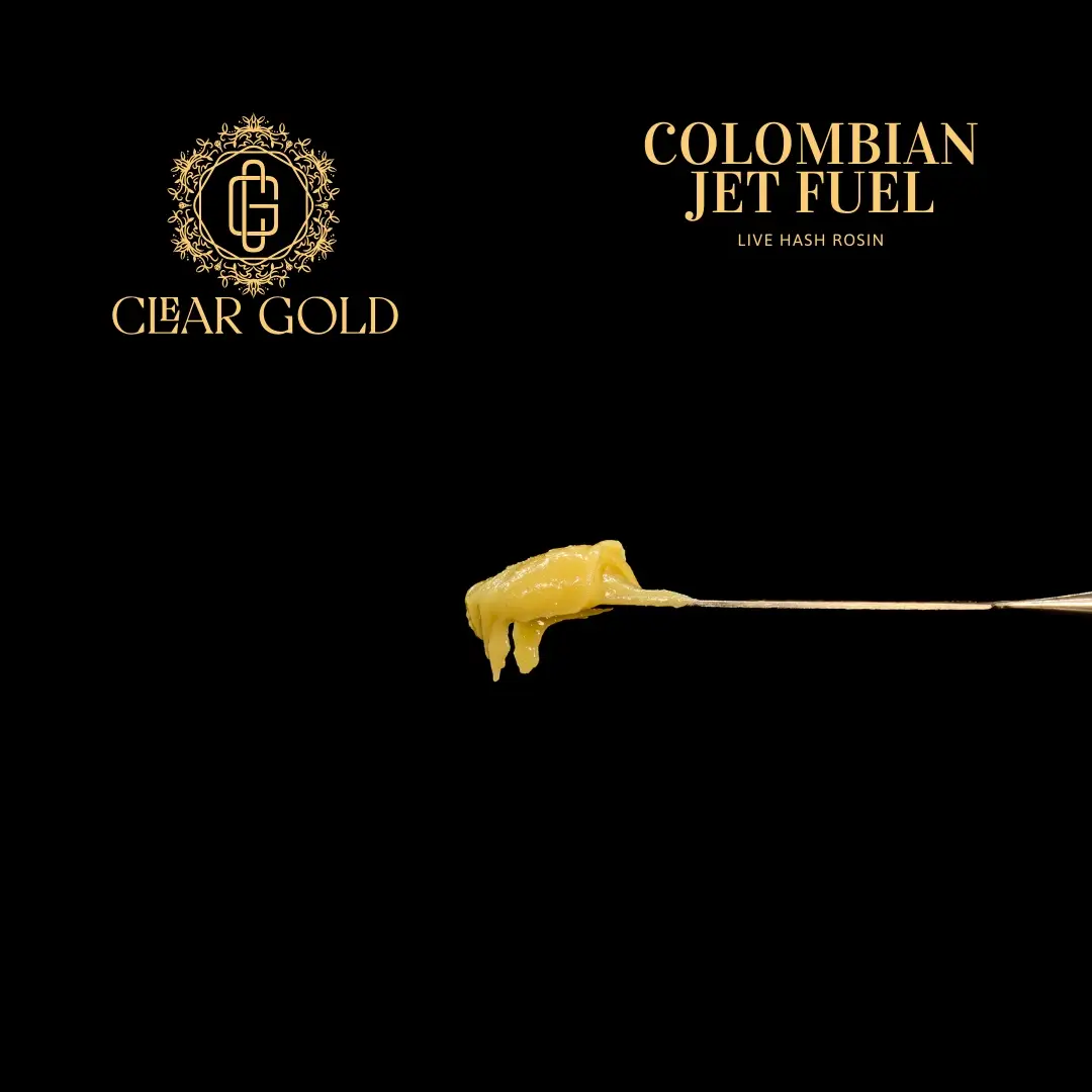 Colombian Jet Fuel cannabis strain with frosty, dense buds, sharp diesel aroma, and potent effects available at CNA Stores.