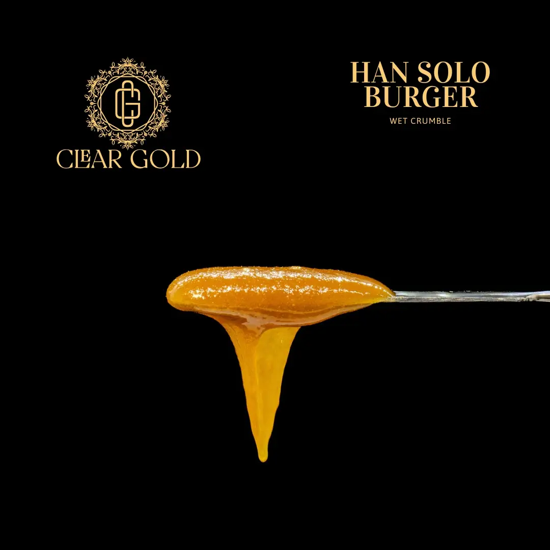 Clear Gold Han Solo Burger Wet Crumble cannabis extract with golden, waxy texture and gassy aroma, available at CNA Stores.
