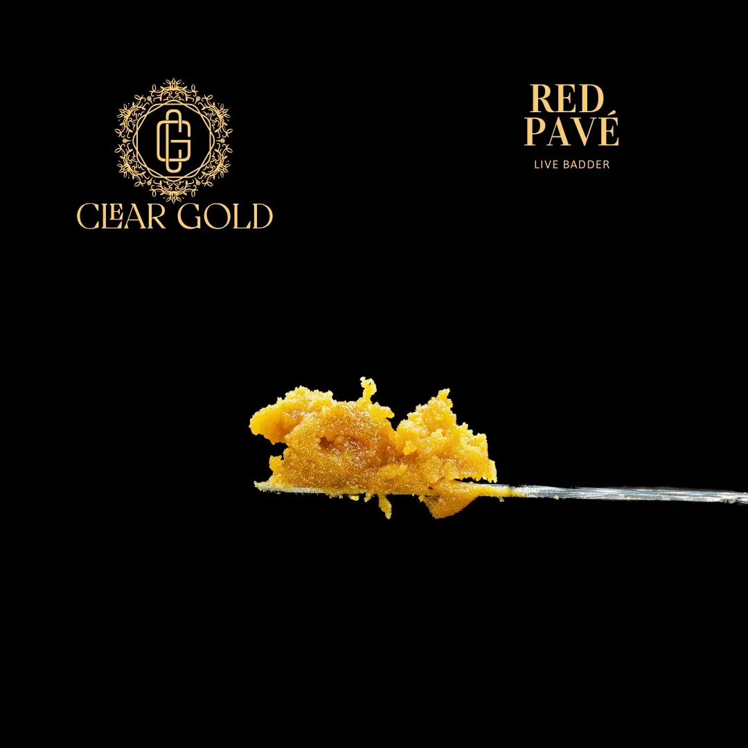 Clear Gold Red Pave Live Badder cannabis concentrate with creamy amber texture, gassy-sweet aroma, and potent effects at CNA Stores.
