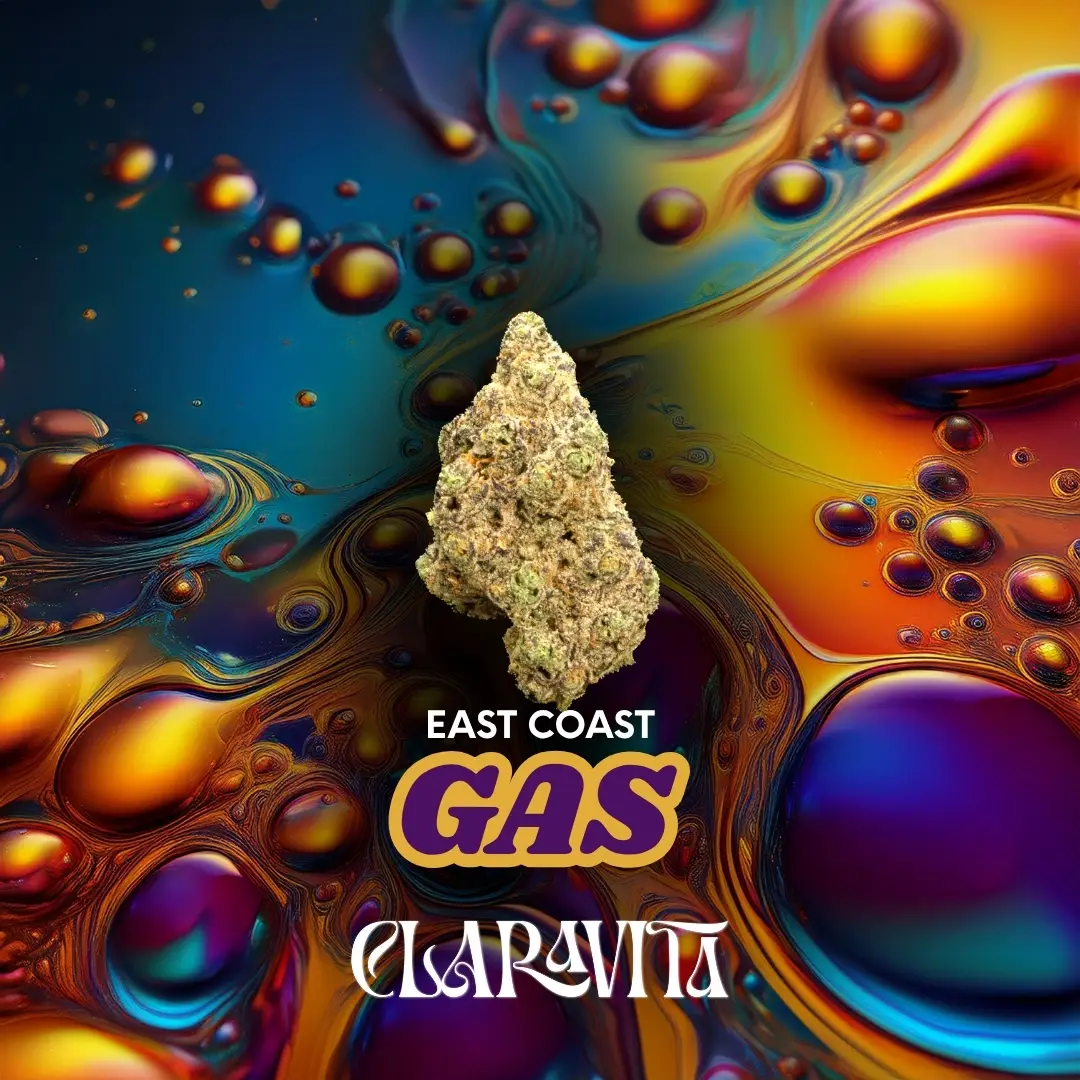 East Coast Gas cannabis strain menu featuring pricing, product details, and availability at CNA Stores.
