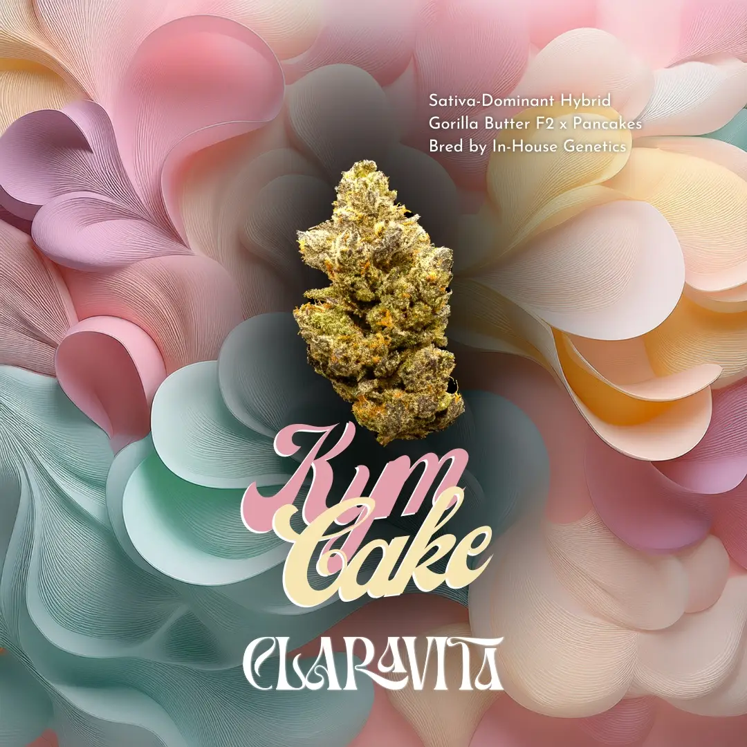 Kym Cake cannabis strain with frosty, colorful buds and dessert-like aroma, available at CNA Stores.