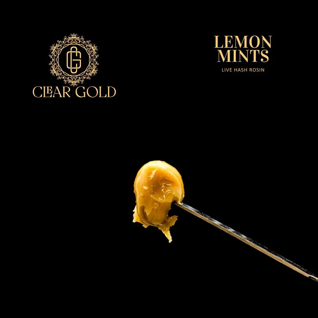 Lemon Mints Hash Rosin cannabis concentrate with smooth golden texture, citrus-mint aroma, and solventless purity from CNA Stores.