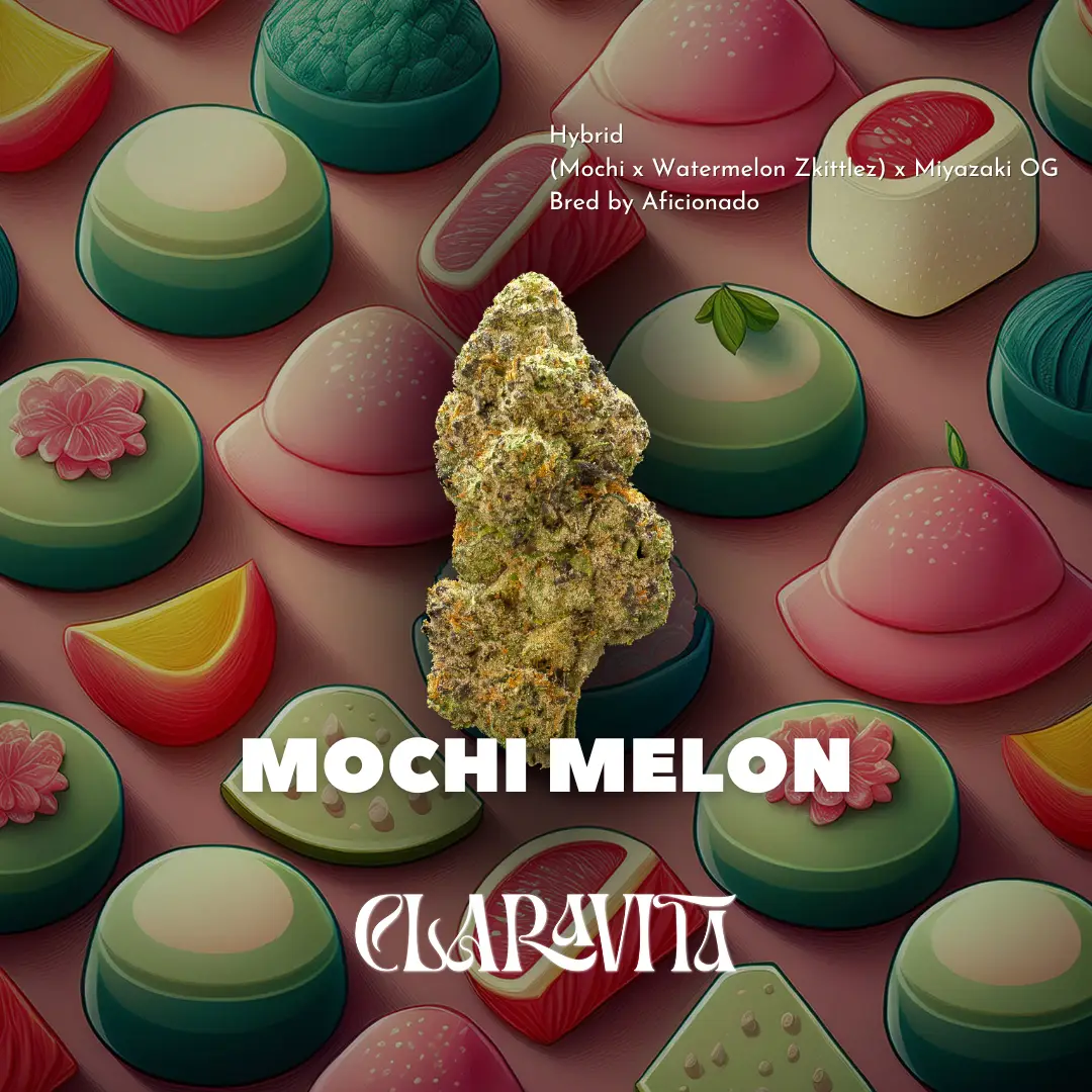 Mochi Melon cannabis strain with frosty buds, fruity melon aroma, and relaxing hybrid effects at CNA Stores.