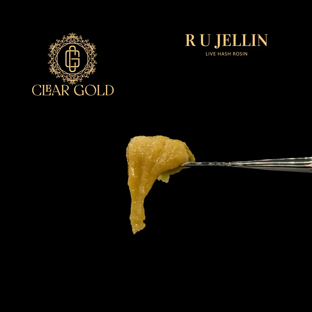 RU Jellin Live Rosin cannabis extract with glossy golden texture, fruity-gas aroma, and potent solventless effects at CNA Stores.