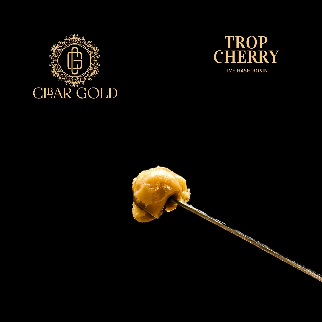 Trop Cherry Hash Rosin cannabis concentrate with golden texture, sweet tropical cherry aroma, and solventless extraction at CNA Stores.