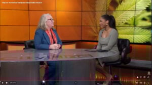 Recreational Cannabis Massachusetts: Our veteran-owned team standing for local integrity against the deceptive 2026 ballot initiative.